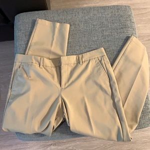 Women dress pants